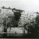 Stadtarchiv Weimar, 60 10-5/1 Bd. 1, Blick von Südosten auf das Residenzschloss