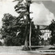 Stadtarchiv Weimar, 60 10-5/1 Bd. 2, Blick von Osten auf das Residenzschloss