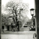 Stadtarchiv Weimar, 60 10-5/12, Blick vom Eingangsbereich Nationaltheater  auf die Dingelstedtstraße