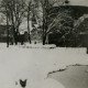 Stadtarchiv Weimar, 60 10-5/15, Blick in die Grünanlage am Karlsplatz 