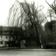 Stadtarchiv Weimar, 60 10-5/16, Blick auf den Kegelplatz/Ilm