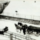 Stadtarchiv Weimar, 60 10-5/26, Blick auf die Buttelstedter Straße