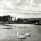 Stadtarchiv Weimar, 60 10-5/28, Blick auf den Schwansee