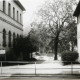 Stadtarchiv Weimar, 60 10-5/30 Bd.2, Blick aus der Karl-Liebknecht-Straße in den Weimarhallenpark