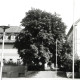 Stadtarchiv Weimar, 60 10-5/30 Bd.2, Blick in den Durchgang vom Platz vor der Weimarhalle zur Karl-Liebknecht-Straße