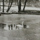 Stadtarchiv Weimar, 60 10-5/30 Bd.2, Blick auf den Weimarhallenteich