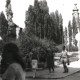 Stadtarchiv Weimar, 60 10-5/4, Blick auf den Markt